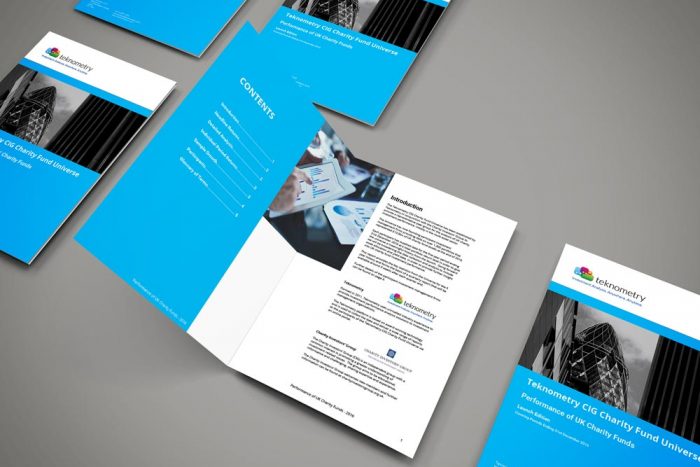 Teknometry Report Brochure